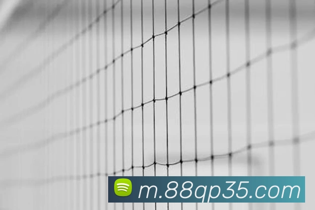 8868全站App